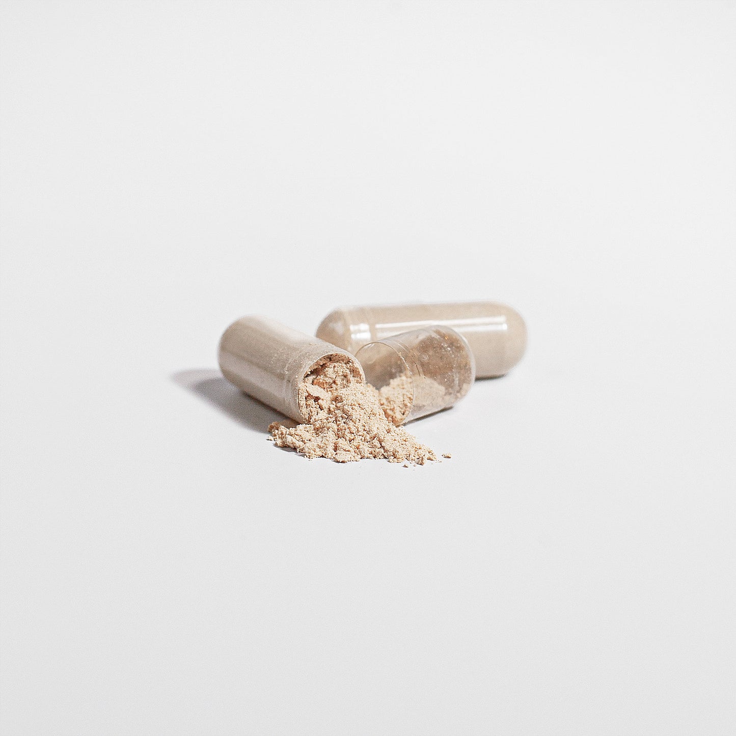 https://fitbodega.com/products/reishi-mushroom?_pos=1&_psq=Reishi+Mushroom&_ss=e&_v=1.0